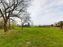 Garten 3 Zweifamilienh�user mit 6 freien Wohnungen und 4.636 qm Grundst�ck