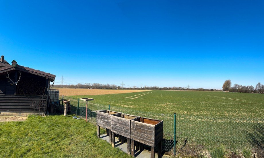 Ausblick Einfamilienhaus Merzenich
