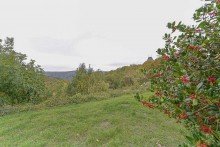 Ausblick von Terrasse Leider schon vermietet