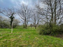 Garten 3 Zweifamilienh�user mit 6 freien Wohnungen und 4.636 qm Grundst�ck