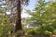 Wald 42 Stufen zum Gl�ck
Panoramawohnen mit 100 Jahre alten B�umen