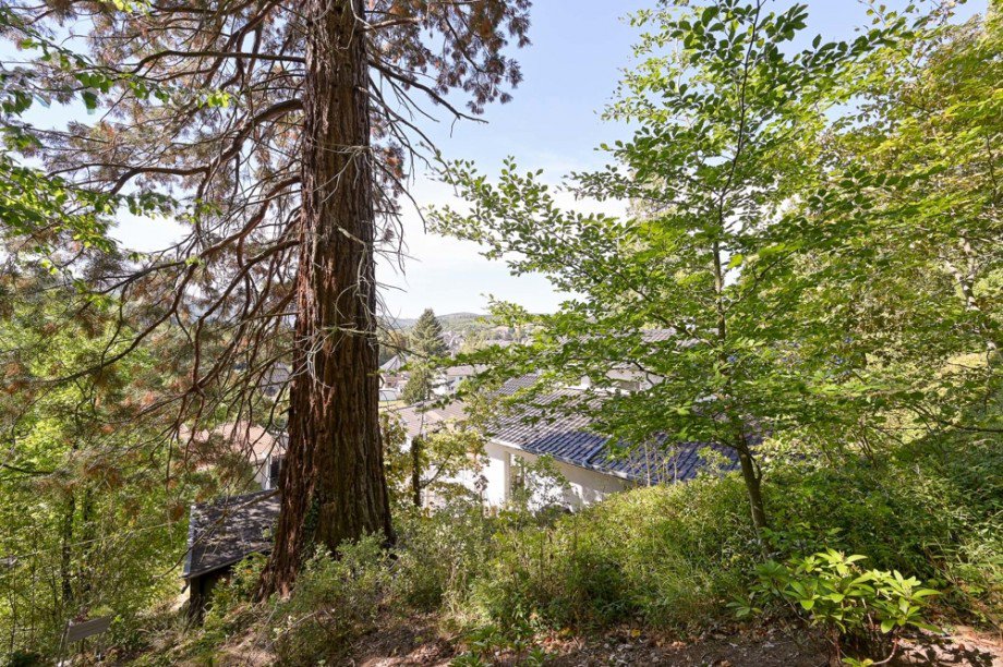 Wald Einfamilienhaus Kreuzau
