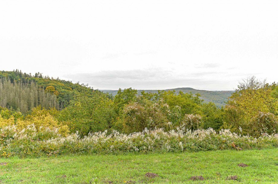 Ausblick Erdgeschosswohnung Nideggen