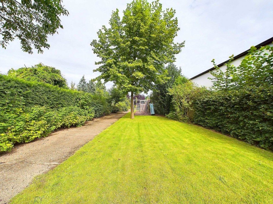 Blick in Garten Reihenmittelhaus D�ren