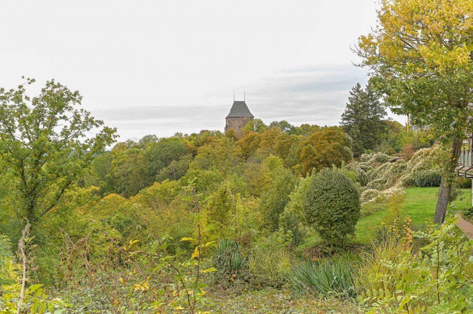 Ausblick Erdgeschosswohnung Nideggen