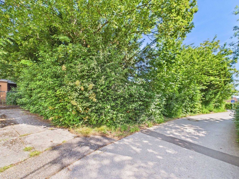 Blick auf Grundst�k von hinten Wohngrundst�ck Kreuzau / Obermaubach