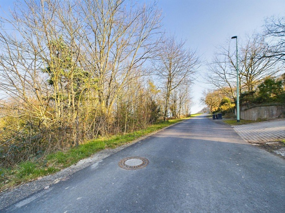 Strasse Einfamilienhaus H�rtgenwald / Gey