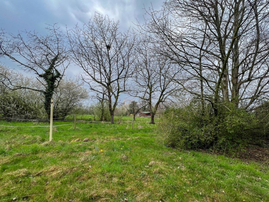 Garten Mehrfamilienhaus Niederzier / Huchem-Stammeln